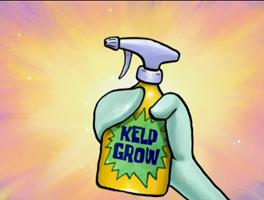 Kelp-Grow.jpg