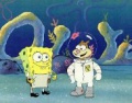 1c SpongeBob und Sandy.jpg