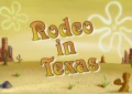 138b Episodenkarte-Rodeo in Texas.jpg