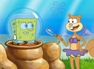 147a SpongeBob-Sandy.jpg