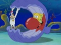 1c Sandy SpongeBob Muschel.jpg