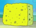 215a-Wilder SpongeBob.jpg