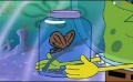 25a SpongeBob-Schmetterling (Wurmi).jpg
