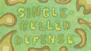 294a Episodenkarte-Single-Celled Defense.jpg