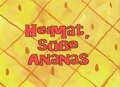 5b Episodenkarte-Heimat, süße Ananas.jpg