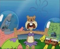 90a Patrick-Sandy-SpongeBob.jpg