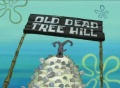 Old-Dead-Tree-Hill.jpeg