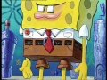 Sponge.jpg
